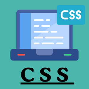 CSS